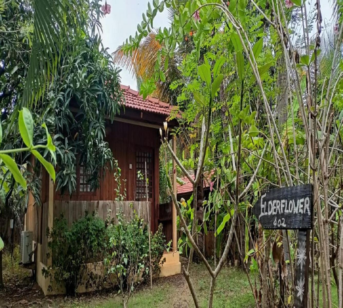 Jamboree Creek Yoga Mandrem Exterior foto